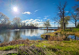 South Potter's Creek Conservation Area